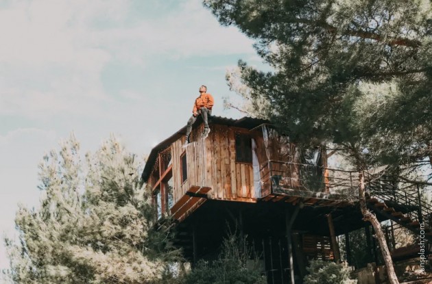 Treehouse Ideas: The Ultimate Guide - Articles for DIY community 2 by  image