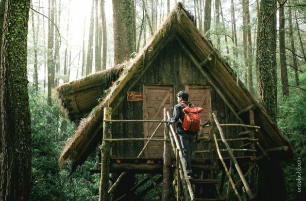 Treehouse Ideas: The Ultimate Guide - Articles for DIY community 3 by  image