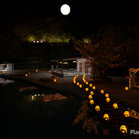 photos landscape ideas