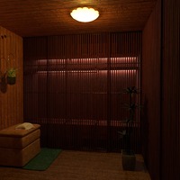 photos lighting house ideas