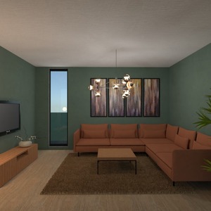 photos apartment house living room renovation ideas