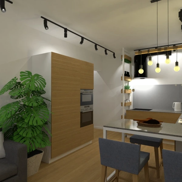 photos appartement meubles salon cuisine studio idées