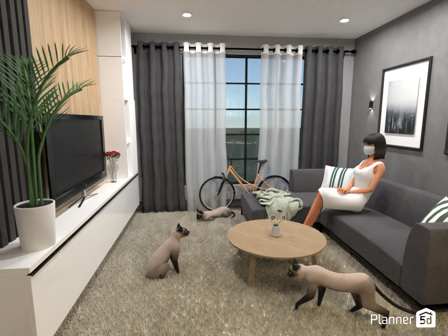 cute cat lady living room 12556887 by mountain biker image
