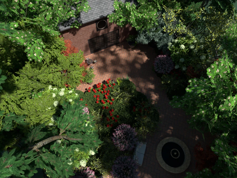 Frog Garden #3084540 by