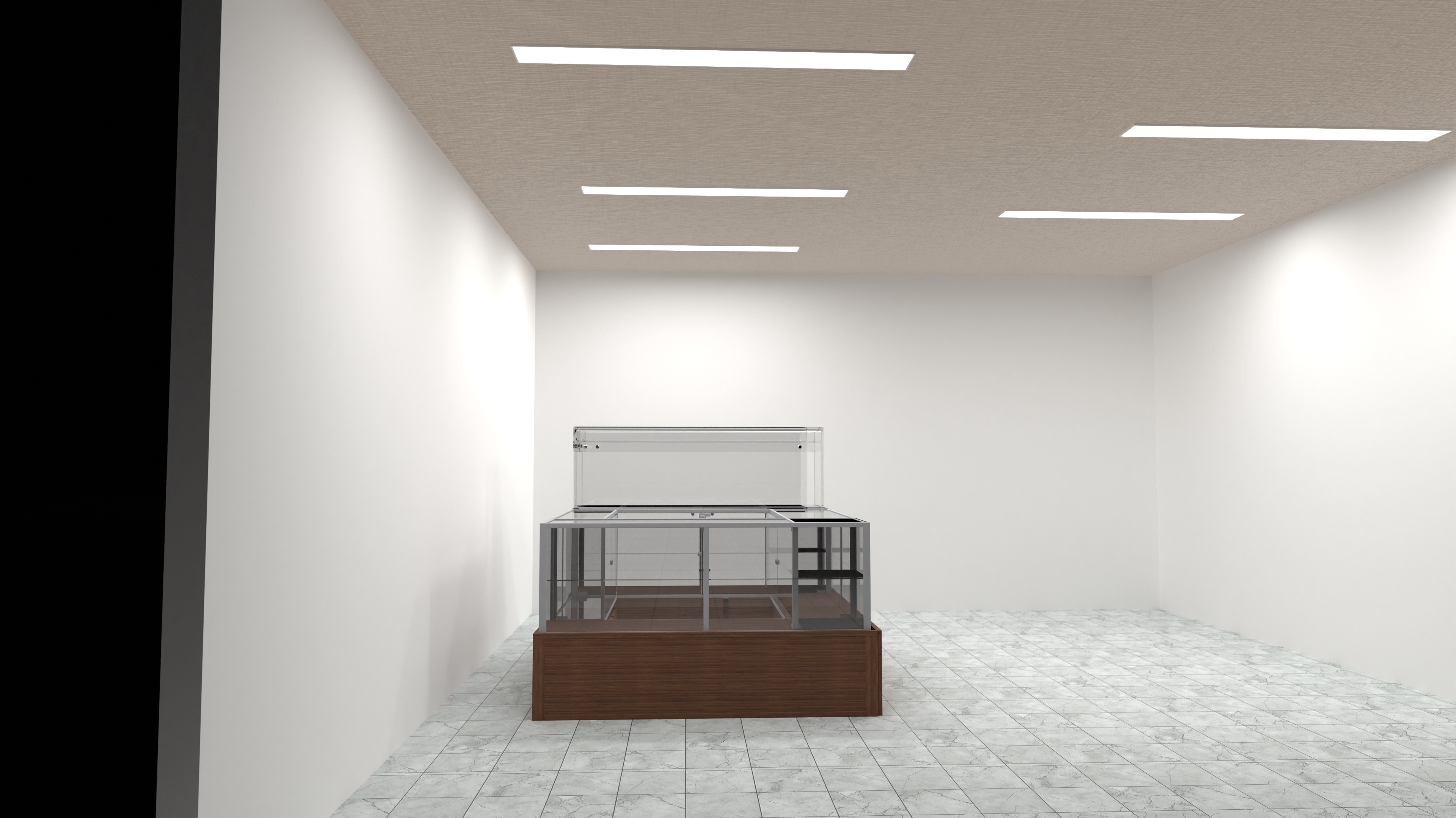 2da propuesta terminal 2 #24645840 by User 85529866