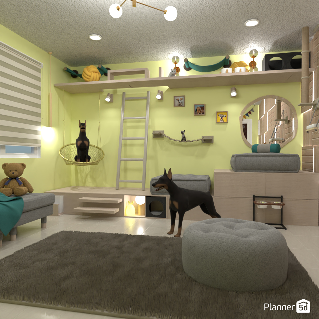 Pet Room 18157087 by Editors Choice image