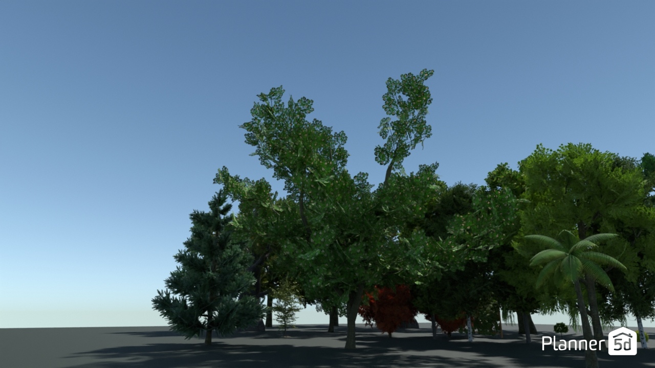 Проект #13 #23411071 by User 158639010