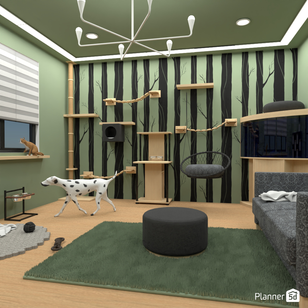 Pet room #18128079 by Editors Choice
