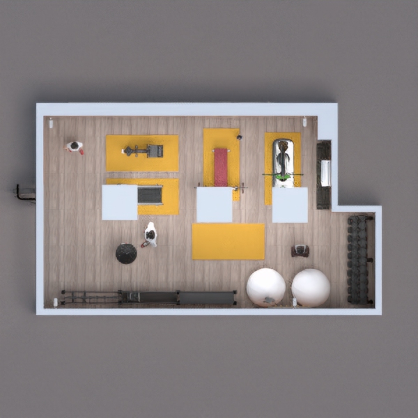 small academy lined with wood and with two pilates balls. the chosen wood, both on the wall and ceiling, aims to make the environment more cozy and rustic.