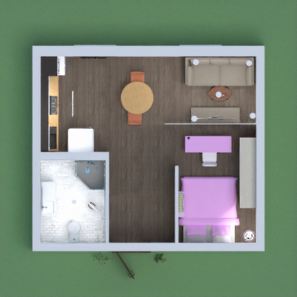 Petit appartement avec les zones principales  (cuisine , chambre à coucher , salon , salle de bains)